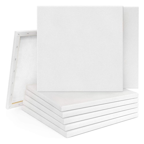 20pcs blank artist canvas - artist, art